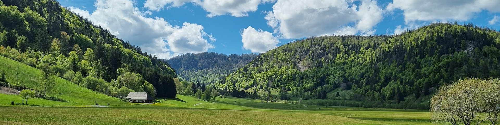 Schluchsee im Schwarzwald