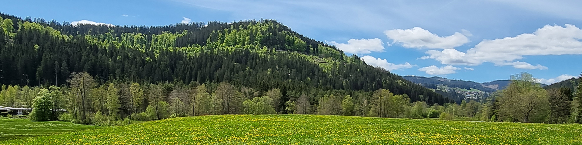 Wandern im Schwarzwald